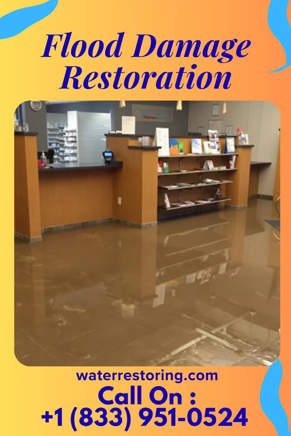 Flood Damage Restoration in Otisville, MI