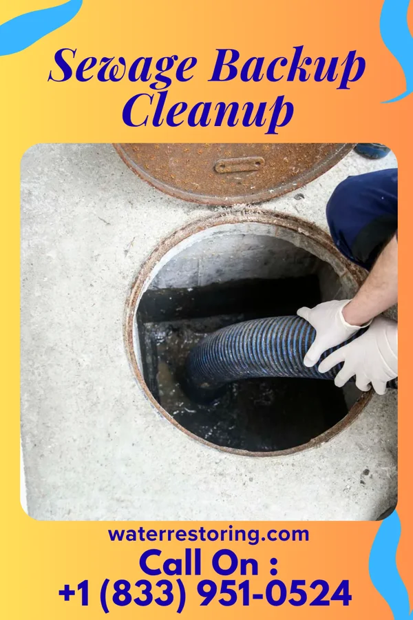 Sewage Backup Cleanup in Otisville, MI